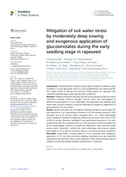 Mitigation of soil water stress by moderately deep sowing and exogenous application of glucosinolates during the early seedling stage in rapeseed