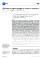 Feature-Enhanced Erroneous Outlier Detection in Hydrological Time Series Using Ensemble Methods