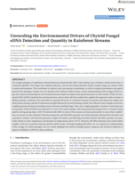 Unraveling the Environmental Drivers of Chytrid Fungal eDNA Detection and Quantity in Rainforest Streams