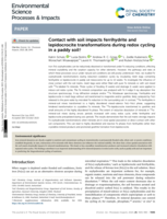 Contact with soil impacts ferrihydrite and lepidocrocite transformations during redox cycling in a paddy soil