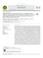 Supplementation of β-mannanase alone or in combination with xylanase and β-glucanase enhanced growth performance, non-starch polysaccharide degradation, and gastrointestinal environment of broilers offered wheat-based diets
