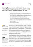 Epidemiology and Molecular Characterisation of Multidrug-Resistant Escherichia coli Isolated from Cow Milk