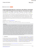 Contrasting Reproductive and Early Life-History Strategies in Recently Diverged Octocoral Species (Paramuricea spp.)