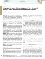 Imaging of the equine abdomen using point of care ultrasound (POCUS): Effects of sedation on intestinal motility in horses