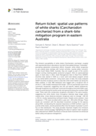 Return ticket: spatial use patterns of white sharks (Carcharodon carcharias) from a shark-bite mitigation program in eastern Australia