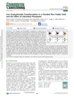 Iron Oxyhydroxide Transformation in a Flooded Rice Paddy Field and the Effect of Adsorbed Phosphate
