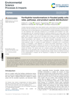 Ferrihydrite transformations in flooded paddy soils: rates, pathways, and product spatial distributions