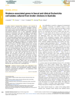 Virulence-associated genes in faecal and clinical Escherichia coli isolates cultured from broiler chickens in Australia