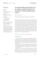 Increasing lifting-bag mesh size to reduce codend occlusion in Australian whiting (Sillago spp.) trawls