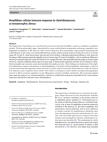 Amphibian cellular immune response to chytridiomycosis at metamorphic climax