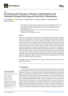 Developmental Changes in Raceme Carbohydrates and Nutrients During Flowering and Fruit Set in Macadamia