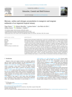 Mercury, carbon and nitrogen accumulation in mangrove and seagrass sediments of an impacted tropical estuary