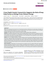 Cross‐Depth Genetic Connectivity Supports the Role of Deep Kelp Forests as Refuge From Climate Change