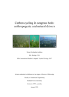Carbon cycling in seagrass beds: anthropogenic and natural drivers