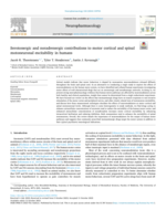 Serotonergic and noradrenergic contributions to motor cortical and spinal motoneuronal excitability in humans