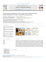 Schwertmannite transformation under strongly-acidic conditions favoring jarosite precipitation: The effect of arsenic(V) and temperature