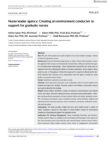 Nurse leader agency: Creating an environment conducive to support for graduate nurses