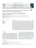 A reduced-function BnaFLC.A2 haplotype confers early flowering without yield loss in semi-winter rapeseed (Brassica napus L.)