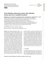 Ocean alkalinity enhancement reduces silica ballasting during export due to amplified dissolution