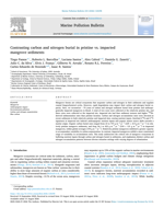 Contrasting carbon and nitrogen burial in pristine vs. impacted mangrove sediments
