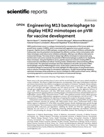 Engineering M13 bacteriophage to display HER2 mimotopes on pVIII for vaccine development