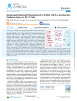 Gentamycin Rationally Repositioned to Inhibit miR-34a Ameliorates Oxidative Injury to PC12 Cells