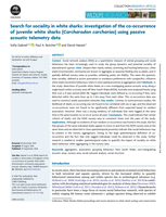 Search for sociality in white sharks: investigation of the co-occurrence of juvenile white sharks (Carcharodon carcharias) using passive acoustic telemetry data